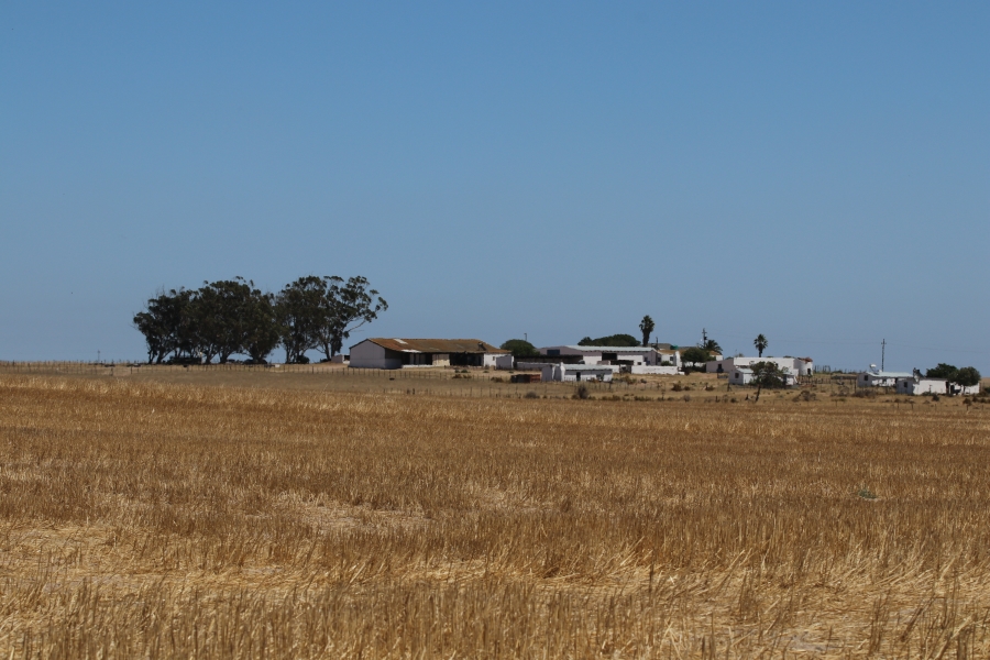 5 Bedroom Property for Sale in Darling Western Cape